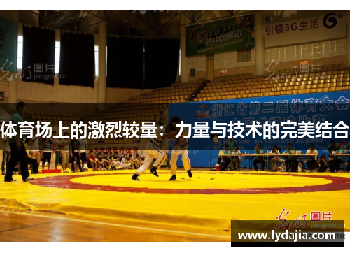 体育场上的激烈较量：力量与技术的完美结合